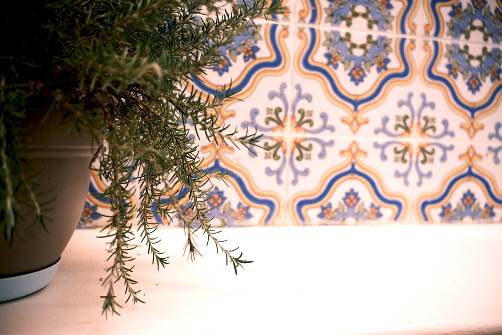azulejos patio andaluz