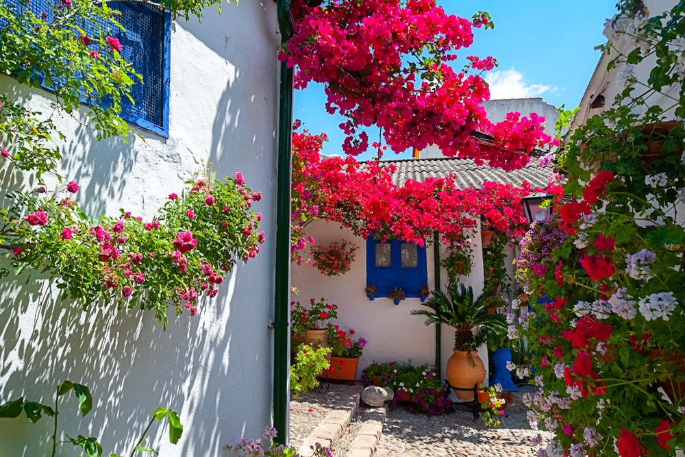 qué es un patio andaluz