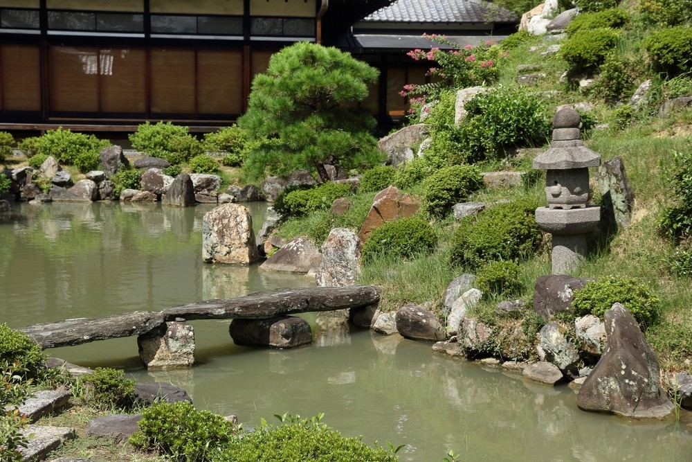 Aprende a como hacer un estanque de jardín casero