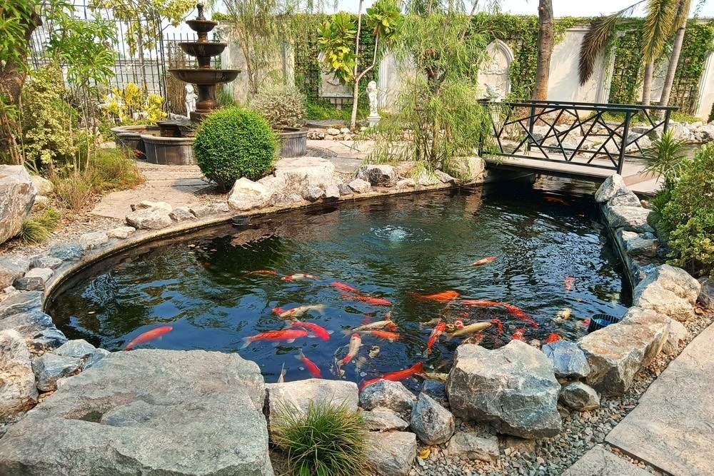 Te damos ideas para decorar un estanque de jardín