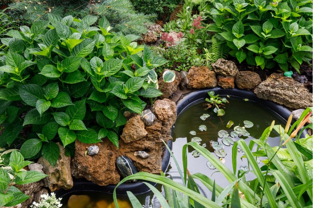 Descubre las mejores ideas para hacer un estanque en el jardin