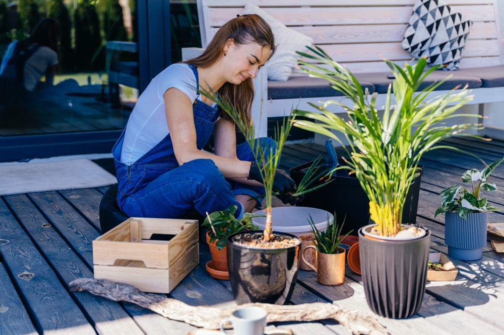 Las claves para hacer un jardin bonito y sencillo con poco dinero